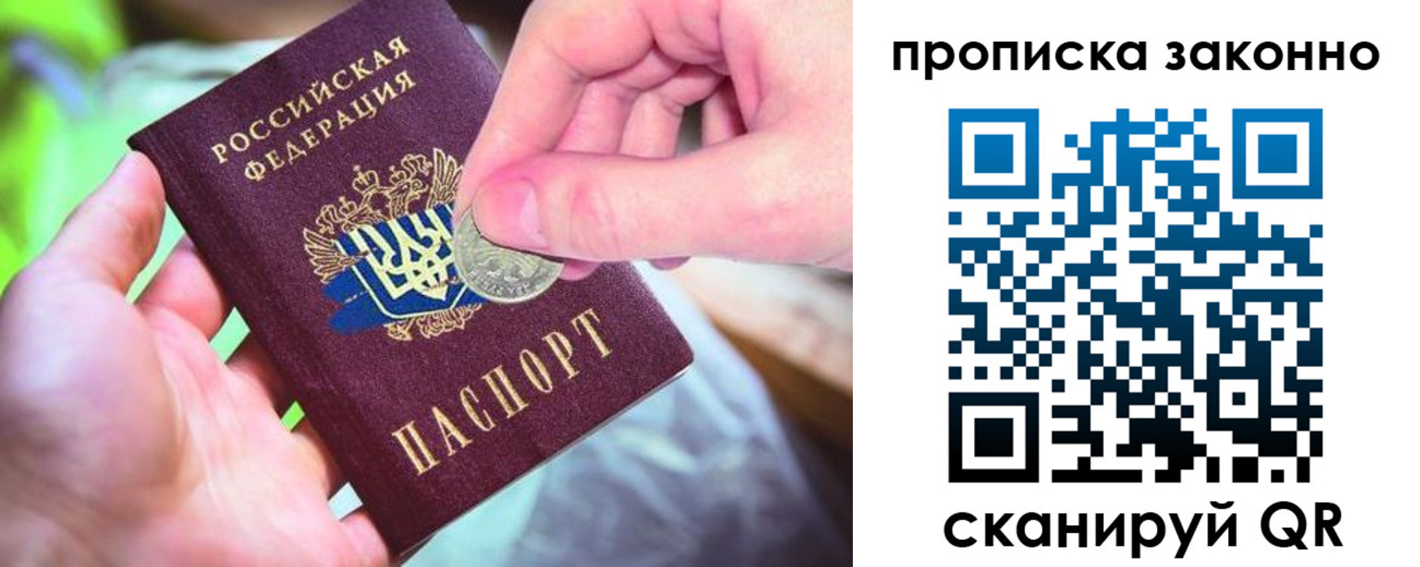 прописка поиск в Сургуте